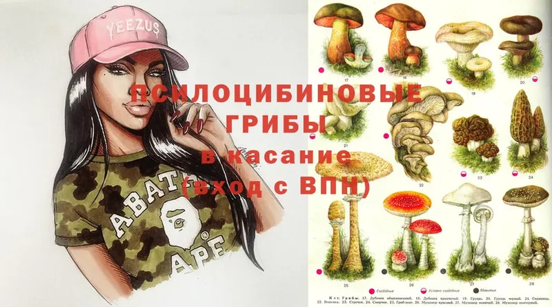 blacksprut tor  Боровск  Галлюциногенные грибы Magic Shrooms 